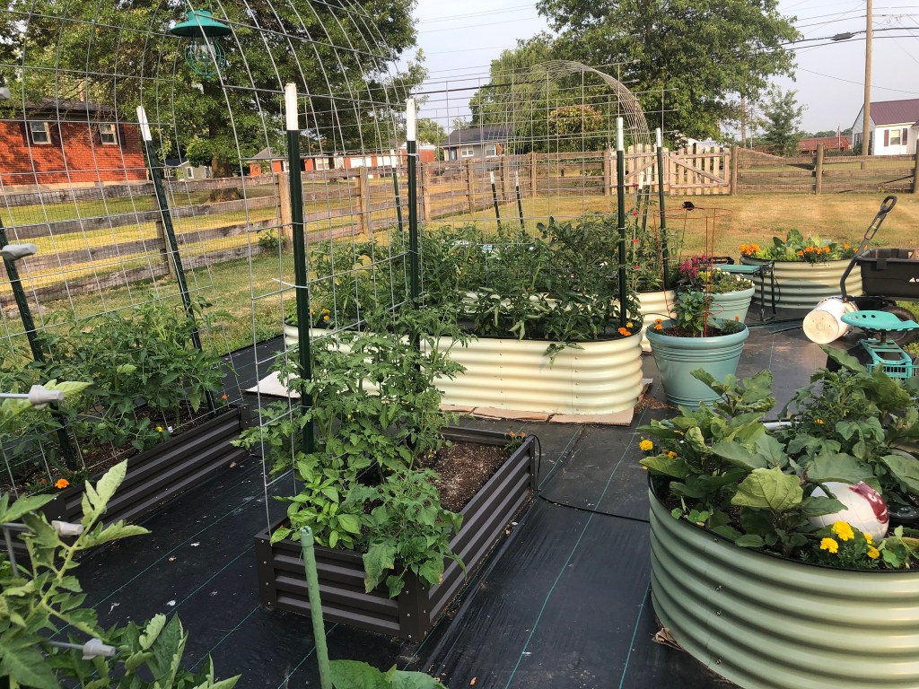 The current image has no alternative text. The file name is: 352115807_124575513979560_62493686669439921_n-1.jpg